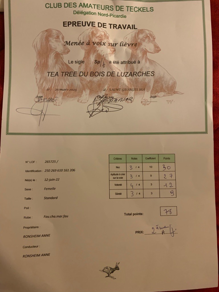 Du Bois De Luzarches - SP/J Tea Tree 2eme prix 78 points 25 Mars 2023 haut de France 