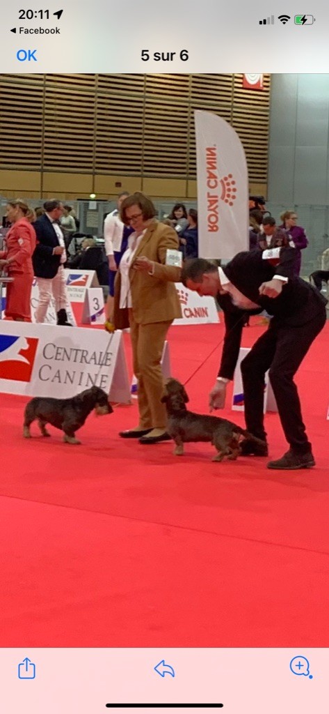 Du Bois De Luzarches - Eurodogshow 2022 