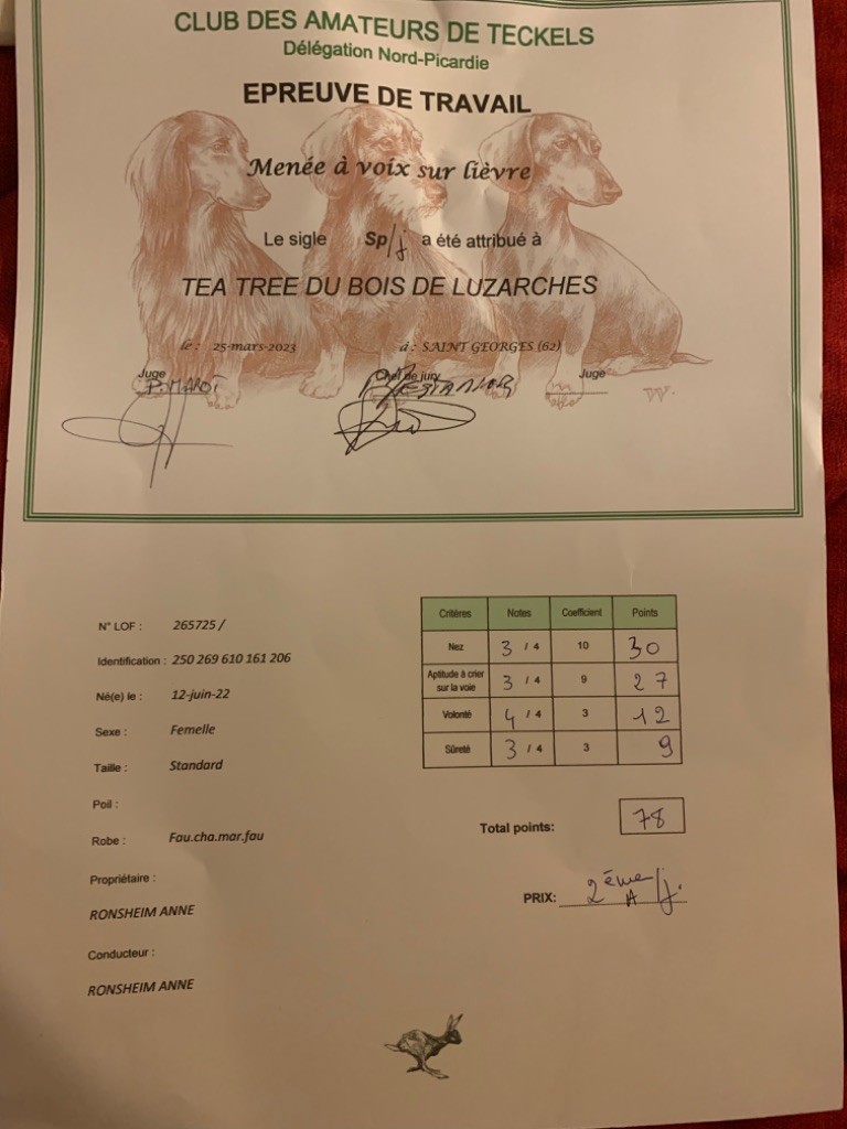 Du Bois De Luzarches - SP/J Tea Tree 2eme prix 78 points 25 Mars 2023 haut de France