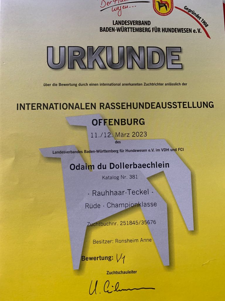Du Bois De Luzarches - IDS - VDH Offenburg 11 Mars 2023 ODAIM (DE)